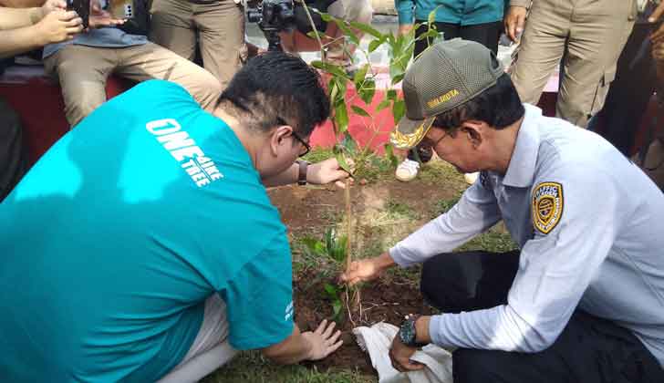 Tanam 100 Pohon di Sekanak-Lambidaro