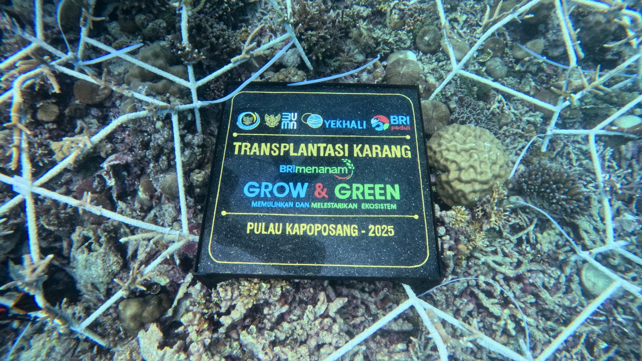 Jaga Ekosistem Laut Tetap Lestari, Ini Aksi Nyata BRI Menanam - Grow and Green di Pulau Kapoposang