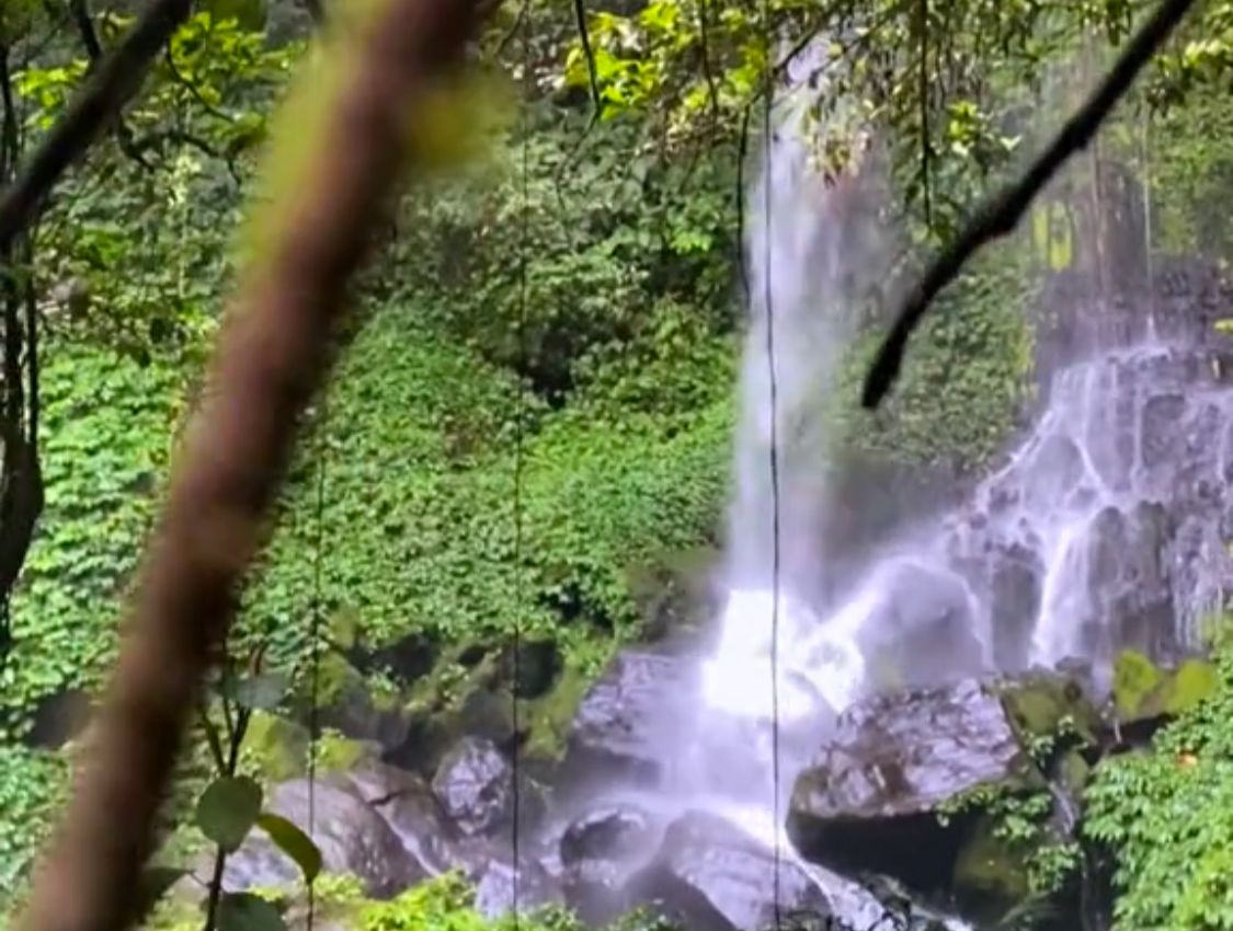 Keajaiban Tersembunyi Desa Air Sempiang: Petualangan Alam di Air Terjun Pipa Belanda