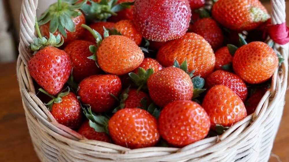 Tips dan Trik Terbaik: Cara Efektif Menyimpan Buah Strawberry dalam Freezer!