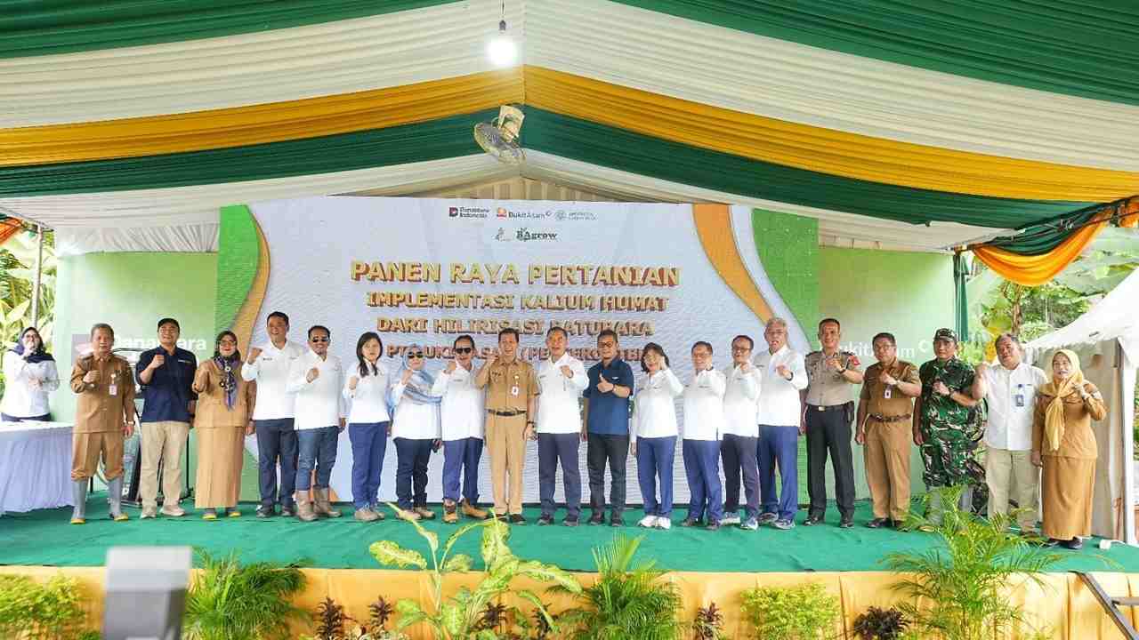 Panen Raya Hasil Padi Kalium Humat Bukti Hilirisasi Batubara Dukung Ketahanan Pangan Nasional