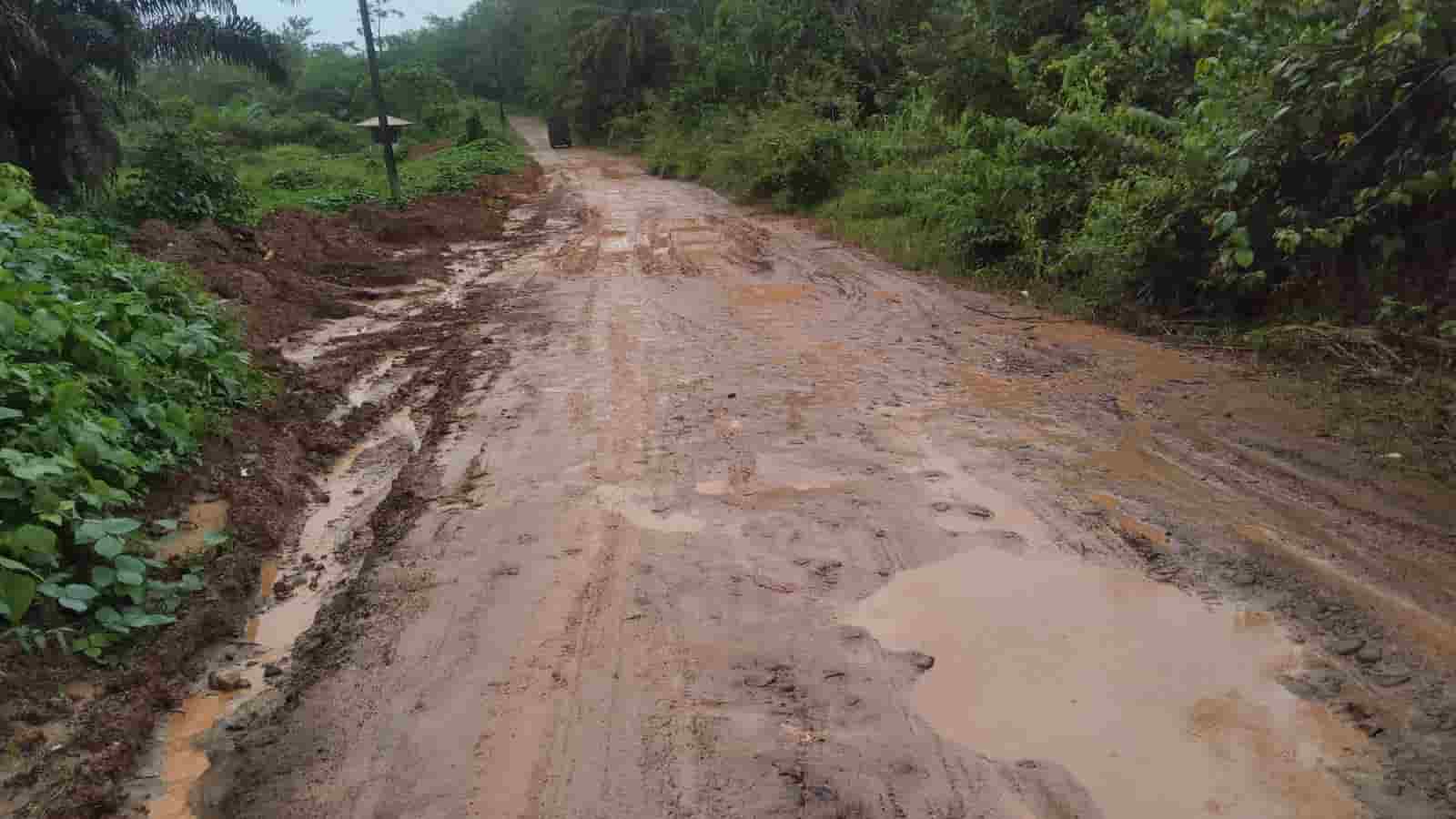 Jalan Poros Desa Sedang-Rimba Terap Rusak Parah, Ini Kata Kepala Desa Sedang...