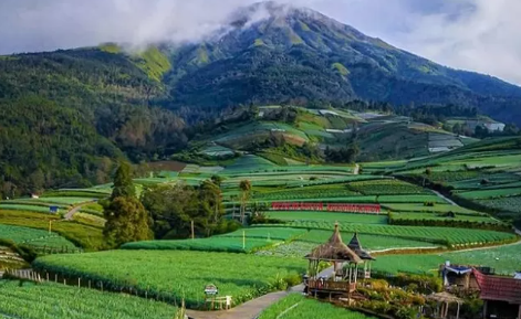 Wow Keren Wisata Ke Negeri Sayur Sukomakmur Magelang