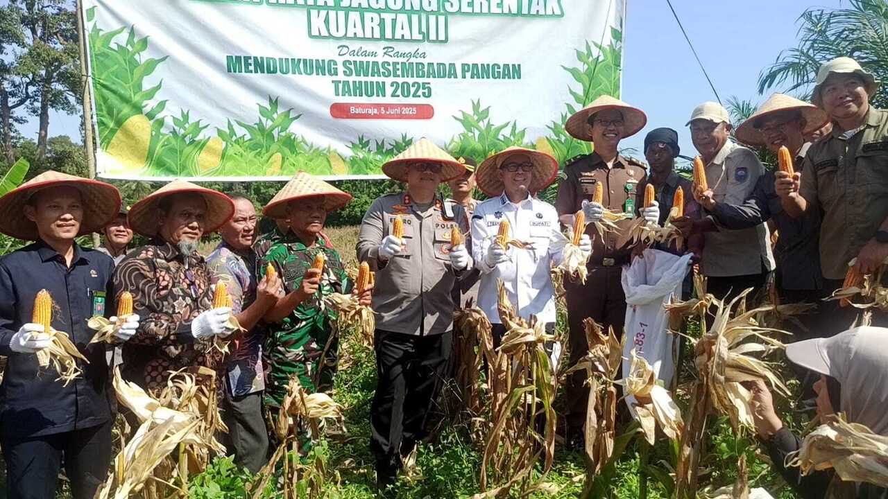 Polres OKU Kini Miliki Lahan Jagung Seluas 200 Haktere di Tegal Arum