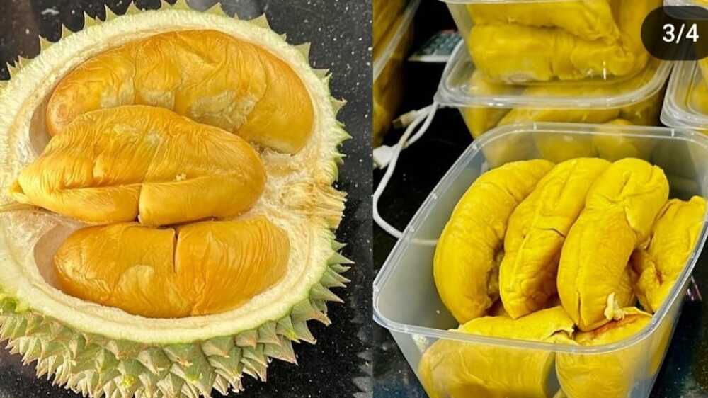 Durian: Si Buah Kebanggaan Malaysia, Mempesona Dunia dengan Keunikan dan Khasiatnya