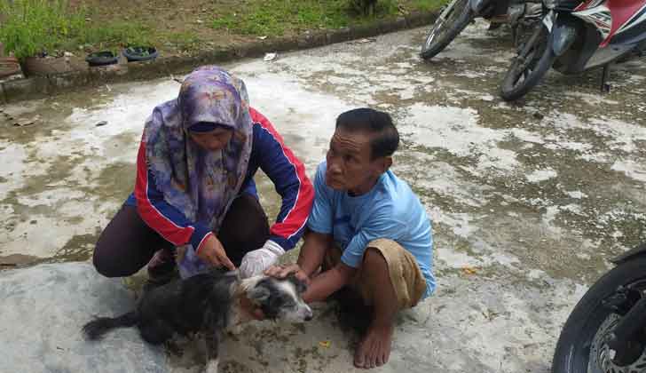  Antisipasi Rabies,Ini Dilakukan Diskannak Kabupaten OKU