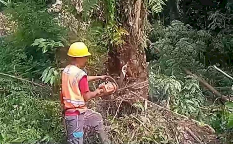 PLN Baturaja Pangkas Pohon Jaga Pasokan Listrik Pelanggan