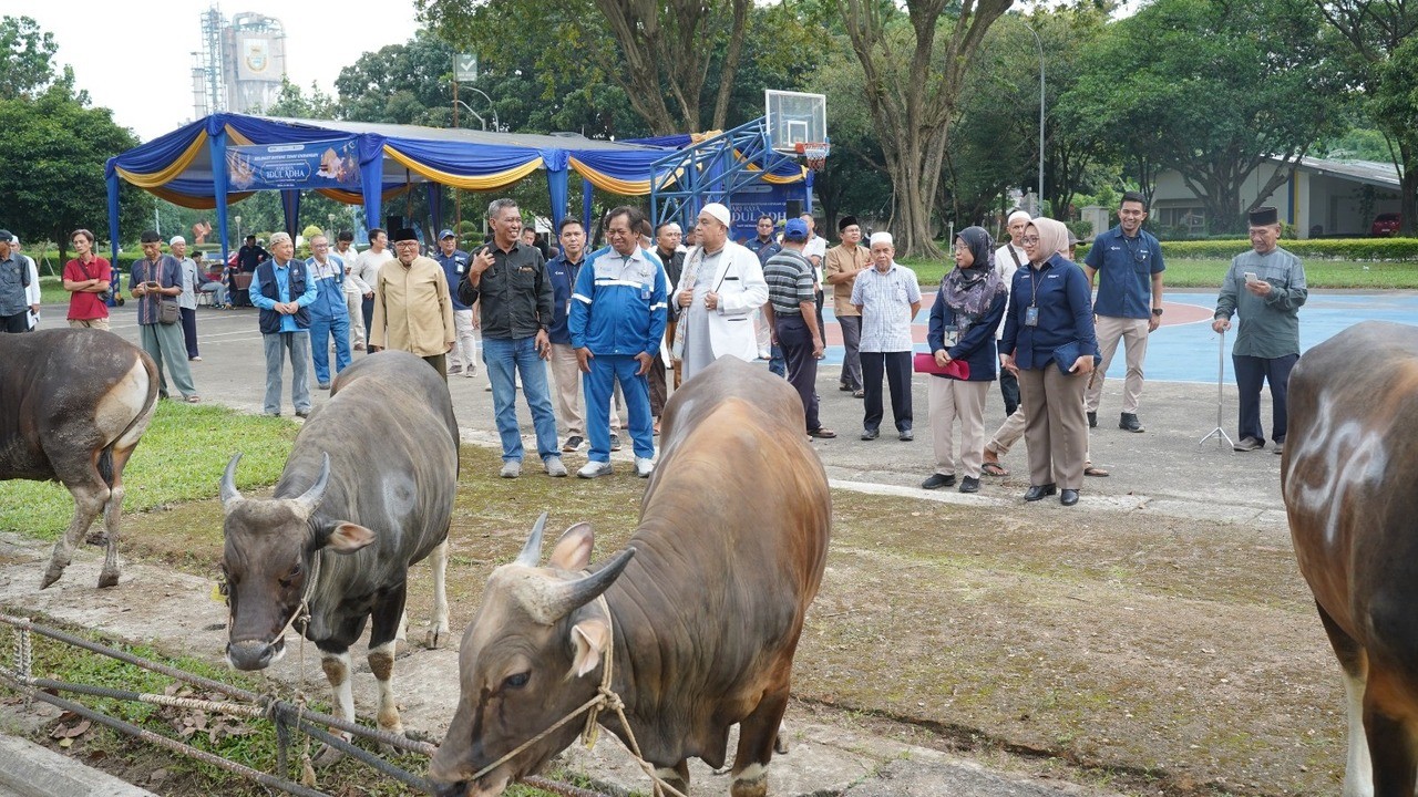 Pusri Salurkan Hewan Kurban untuk Warga Lingkungan 