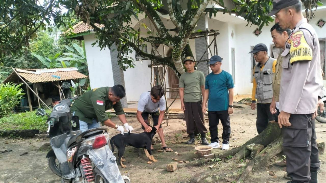 Tahun 2025, Pemkot Prabumulih Catat 8 Kasus Gigitan Anjing Rabies: Warga Diminta Rutin Vaksin Hewan Peliharaan