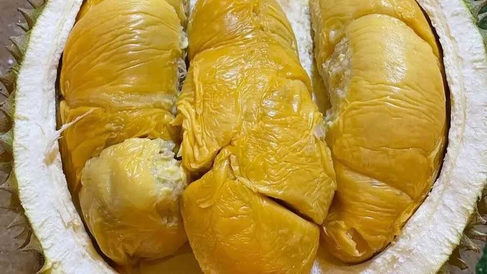 Apa Dampak Alergi Durian pada Anak-Anak Terhadap Sistem Pernapasan Mereka?