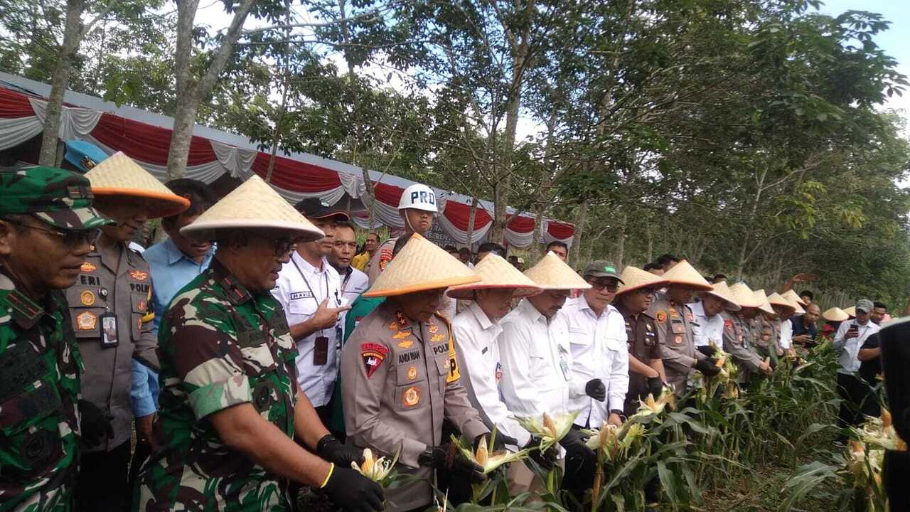 Panen Raya Jagung Tahap I Disumsel Dipusatkan di Ogan Ilir, Kapolda: Dorong Ketahanan Pangan Nasional