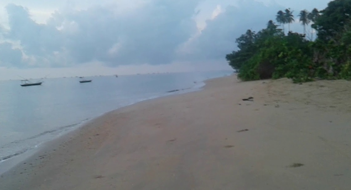 Pemekaran Wilayah Sumatera Utara: Wacana Pembentukan Kabupaten Teluk Aru Karena Jauh dari Pusat Pemerintahan