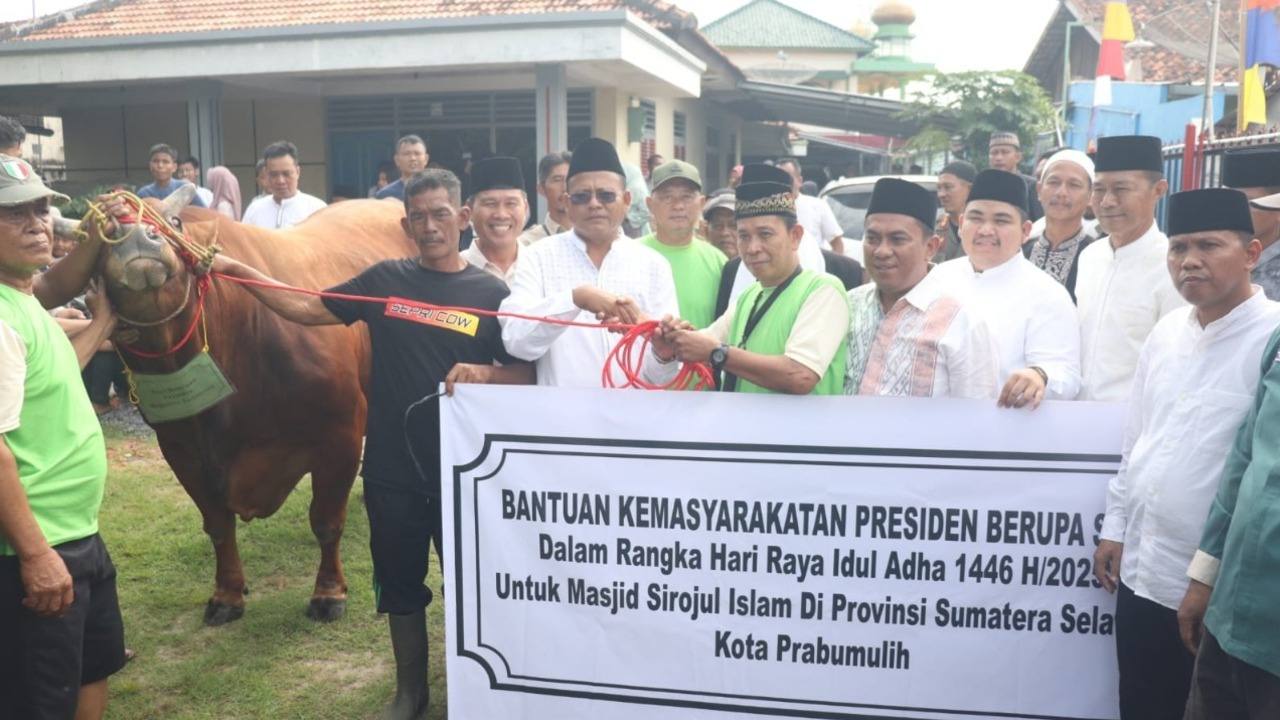 Serahkan Sapi Kurban, Walikota Prabumulih H Arlan: Terima Kasih Pak Presiden Prabowo