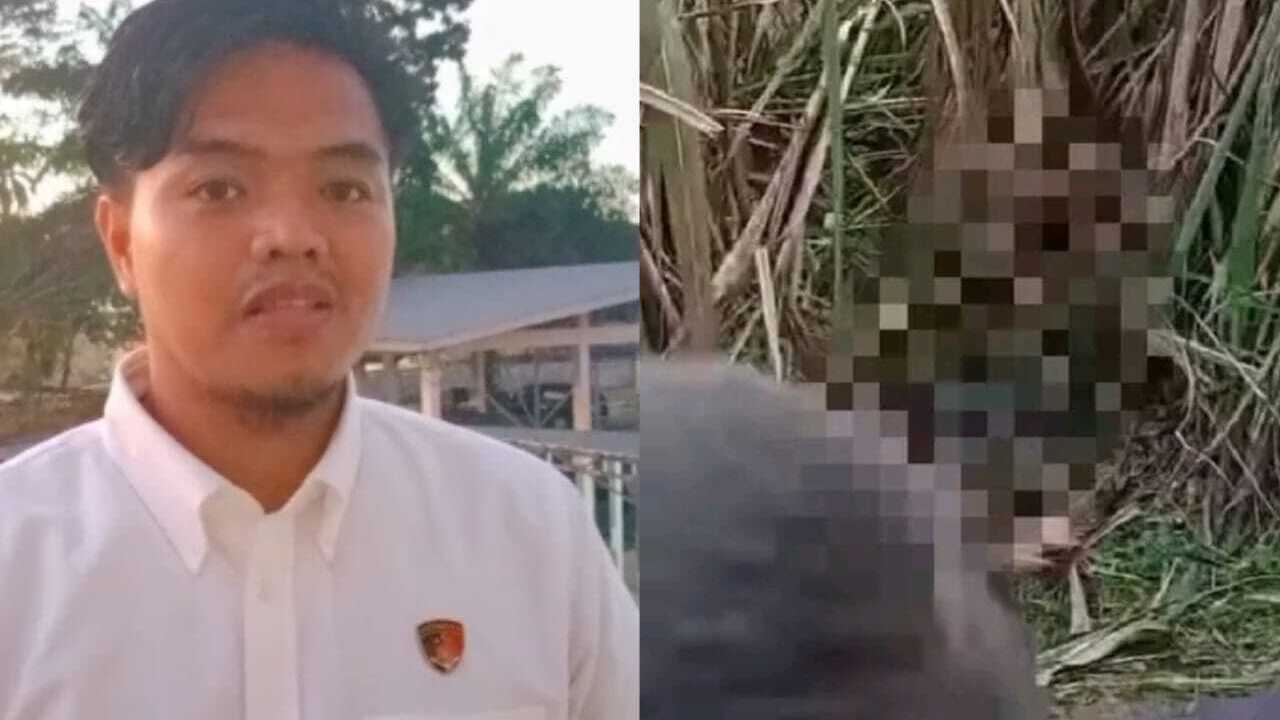 Tragis! Wanita Hamil yang Ditemukan Tewas Dikebun Tebu Diduga Dibunuh, Alami Sejumlah Luka