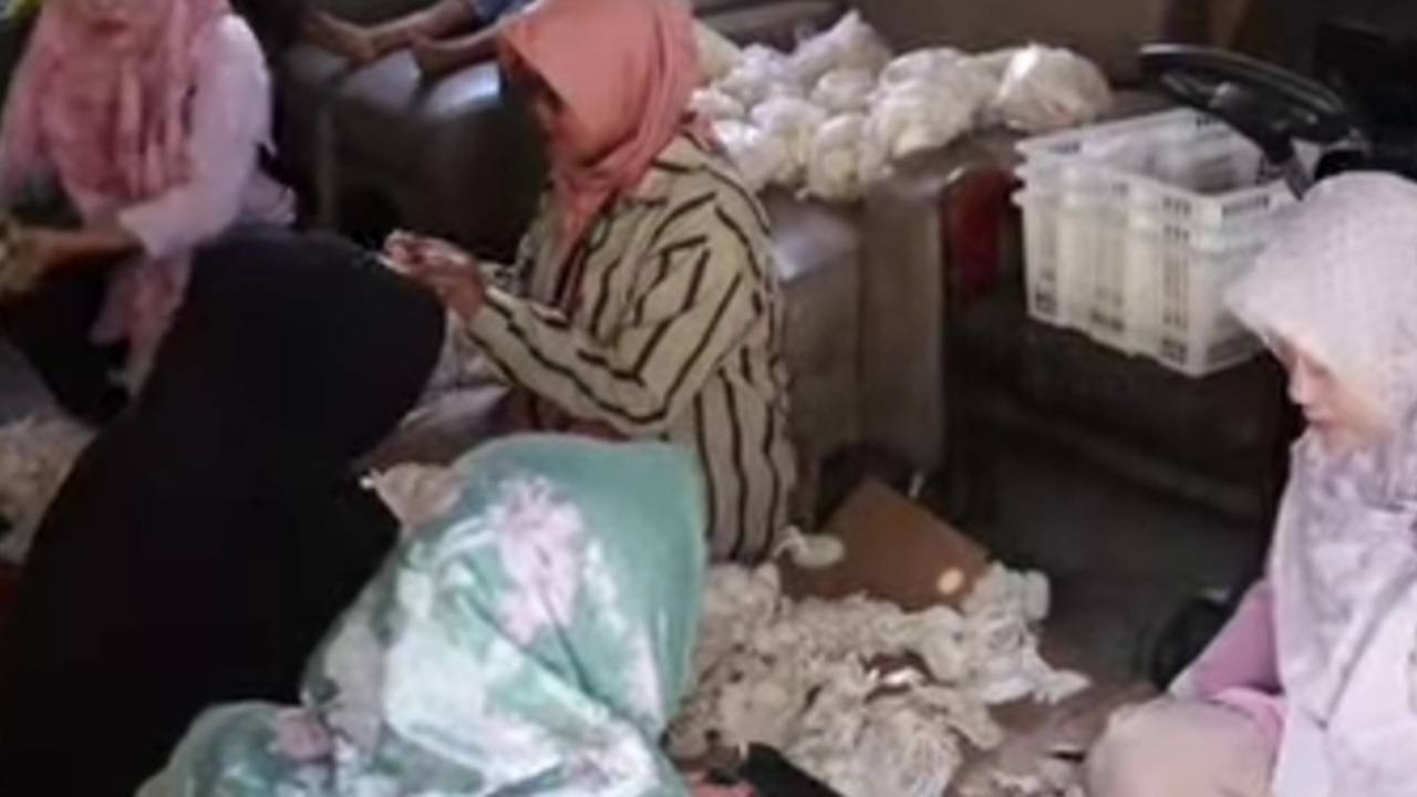 Manfaatkan Lahan Pekarangan, Ciptakan Nilai Jual Tinggi