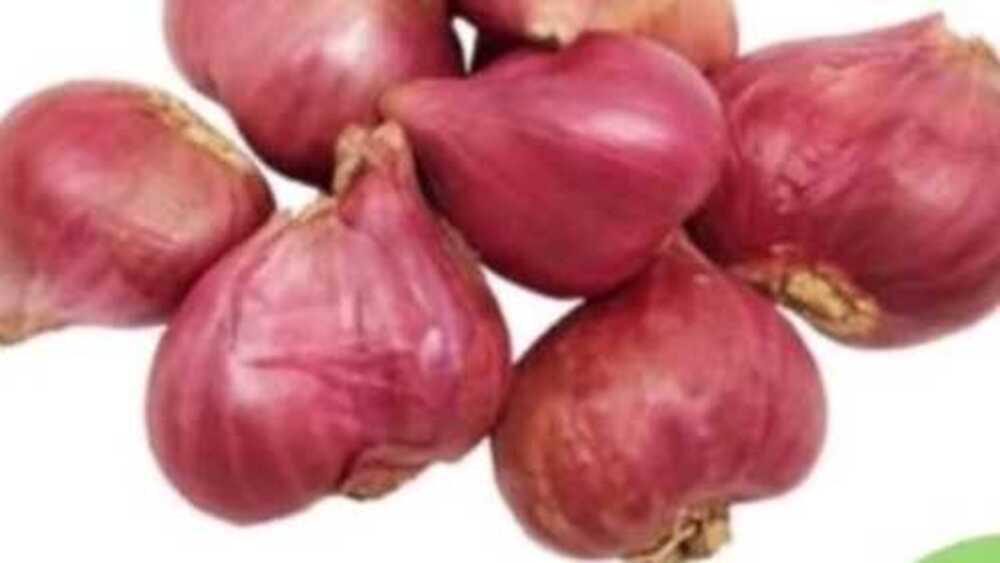 Bawang Merah: Bumbu Dapur dengan Segudang Manfaat Kesehatan