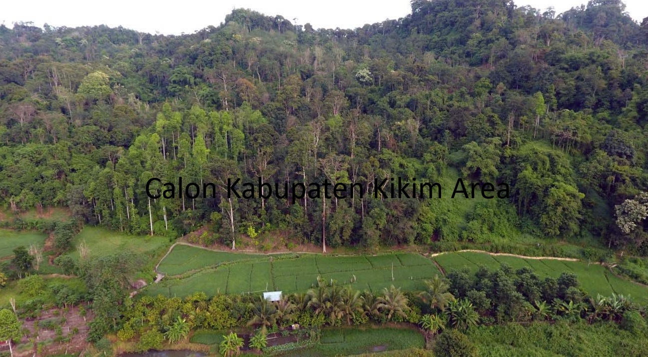 Pemekaran Wilayah: Kabupaten Kikim Area Bersiap Jadi Calon Daerah Otonomi Baru di Sumatera Selatan