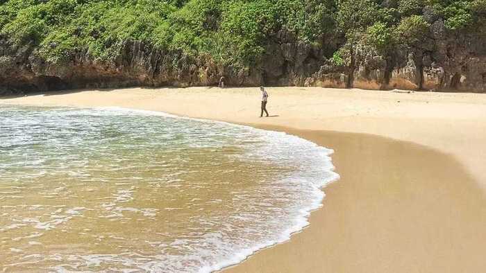 Pantai Greweng Permata Tersembunyi di Pantai Selatan Jawa Tengah