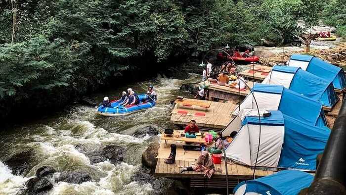 Menikmati Sensasi Camping di Hutan Pinus Rahong Jawa Barat