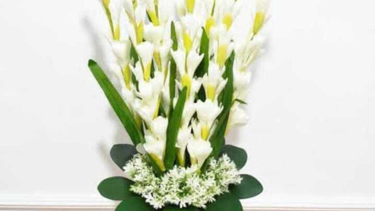 Bunga Sedap Malam, Harum di Kala Senja Dipercaya Bawa Keharmonisan dan Ketentraman Rumah