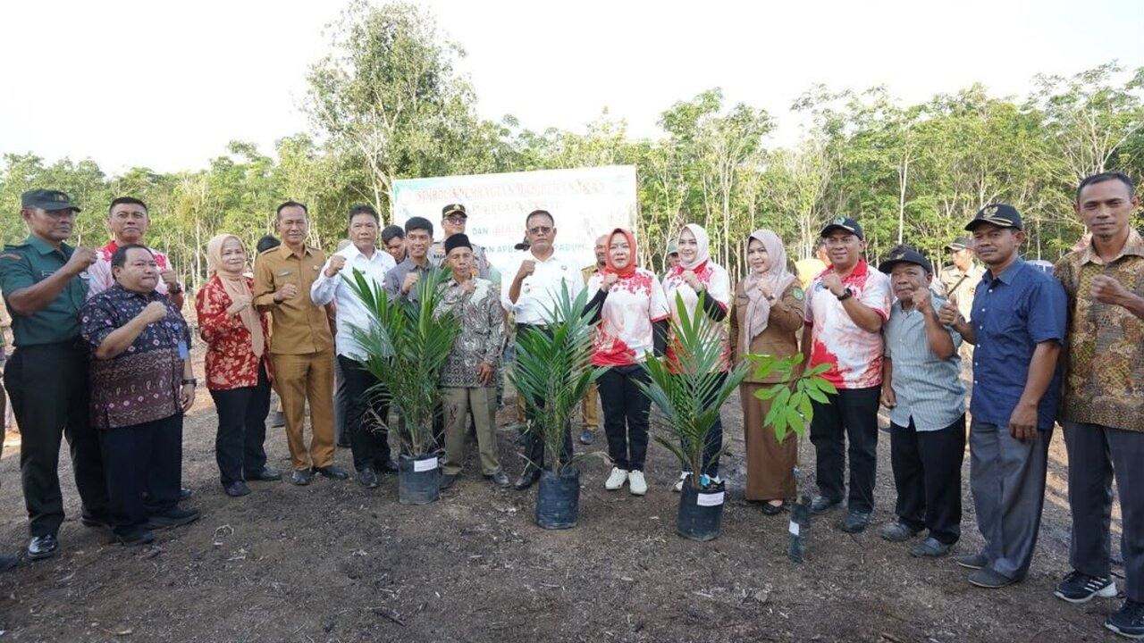 Pemkot Prabumulih Salurkan Bantuan Ribuan Batang Bibit Sawit dan Karet