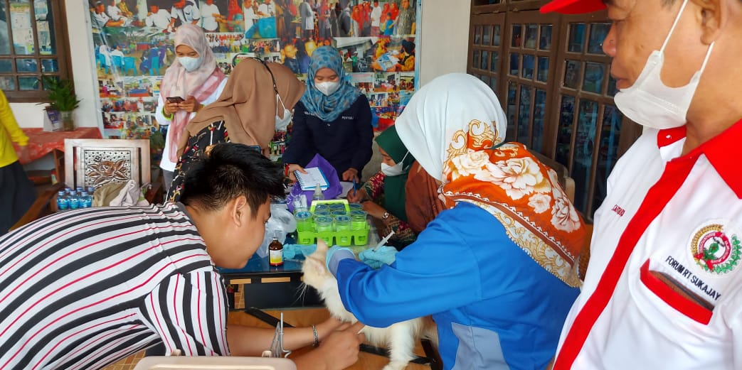 Ratusan Kucing dan Anjing di Sukajaya di Vaksin Rabies