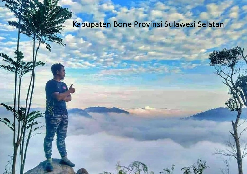 Pemekaran Wilayah Provinsi Sulawesi Selatan: Kabupaten Bone sebagai Calon Ibukota Provinsi Bugis Timur