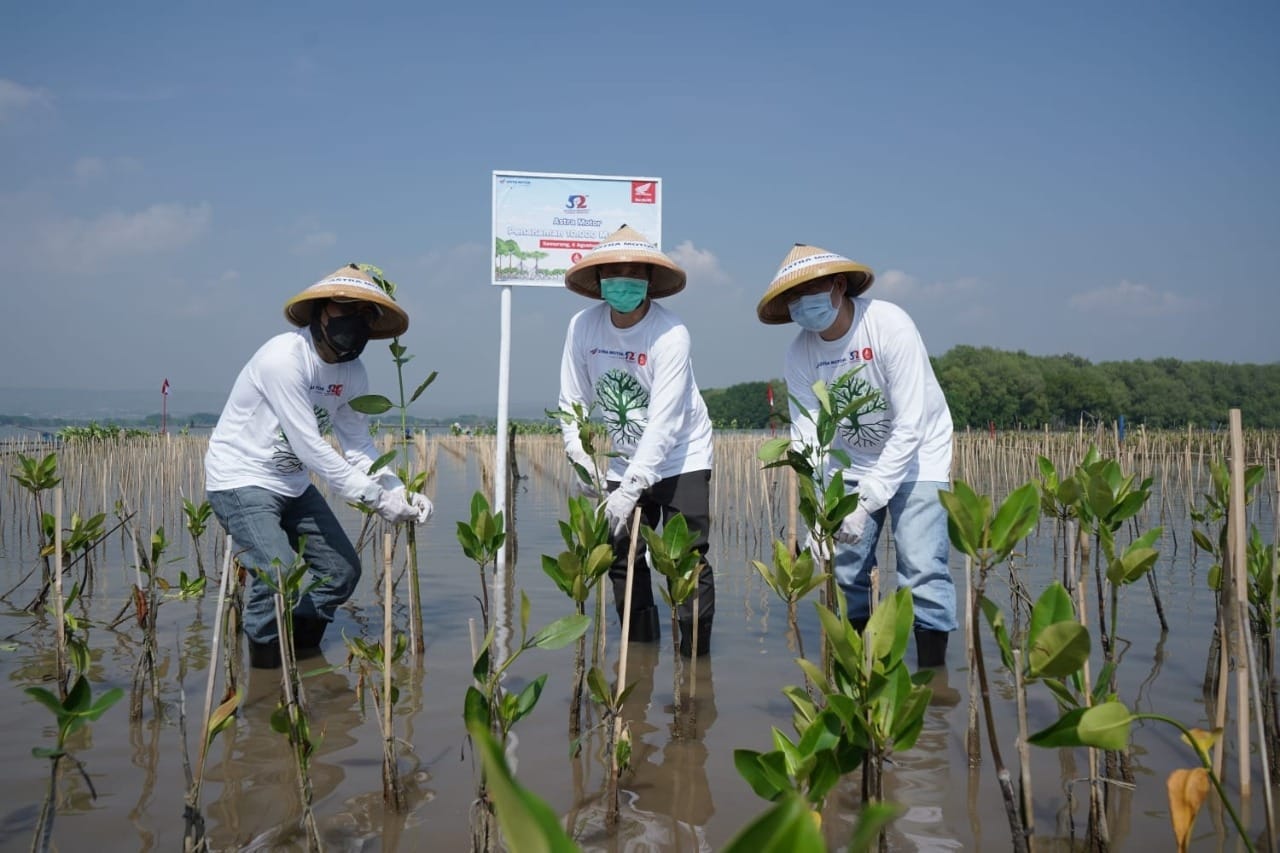 Penutupan Rangkaian HUT ke 52, Astra Motor Tanam 10 Ribu Mangrove