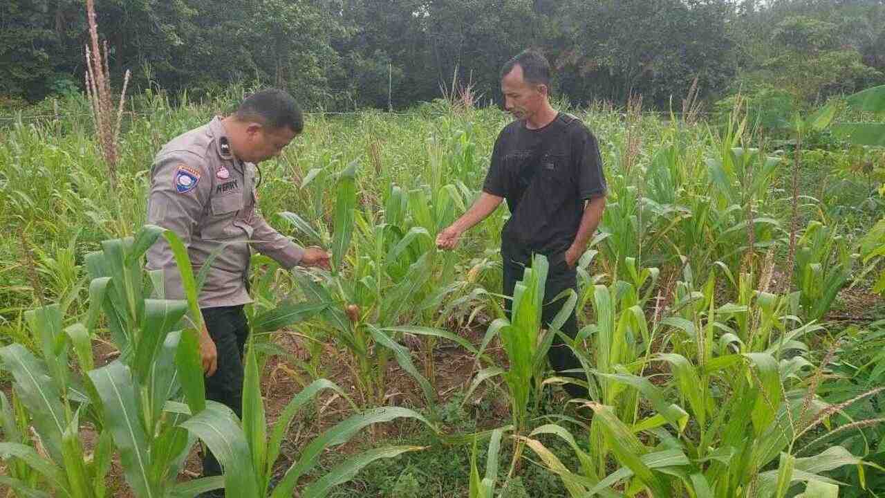 Sulap Lahan Tidur Sebagai Sumber Penghasilan