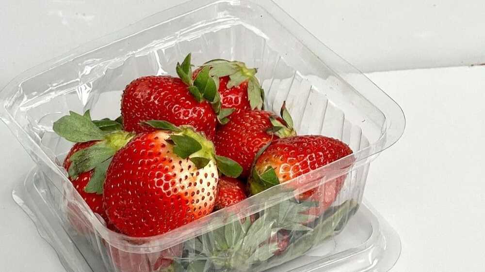 Tips dan Trik untuk Menumbuhkan Buah Strawberry yang Sehat dan Menghasilkan Hasil yang Melimpah