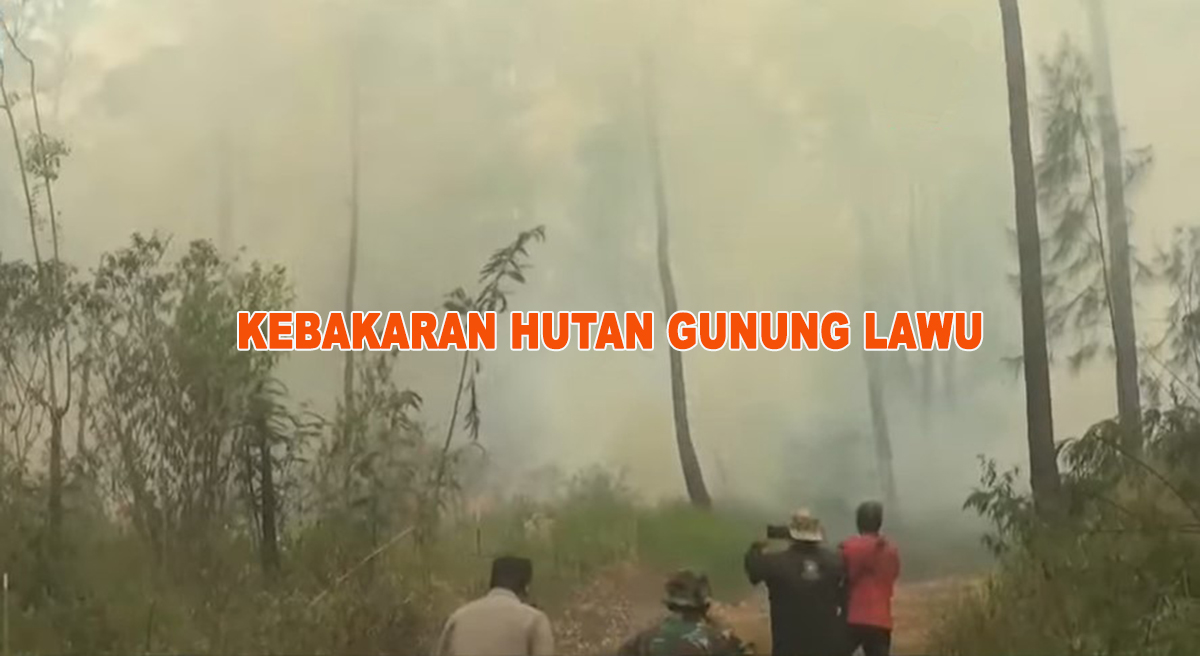 Kebakaran Gunung Lawu: 30 Hektar Terbakar, Mbok Yem Pemilik Warung Tertinggi di Dunia Dipastikan Selamat