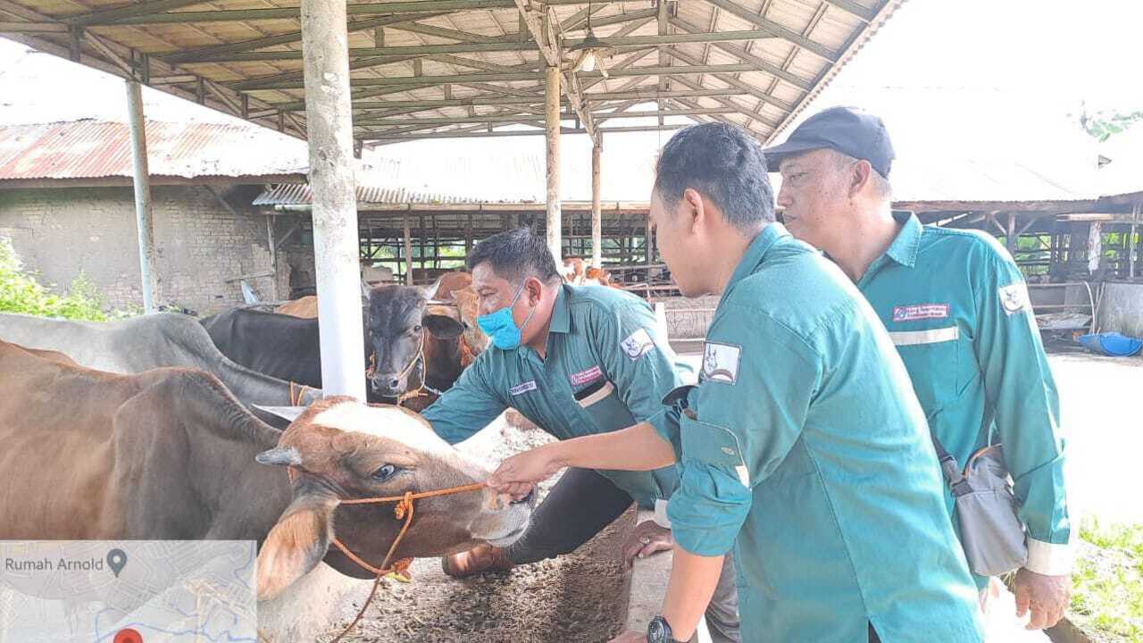 Prabumulih Terima 200 Dosis Vaksin PMK dari Kementan melalui Distan Sumsel
