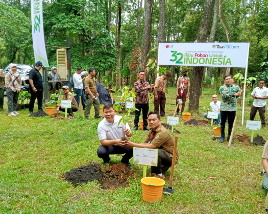 Tanam 15,000 Bibit Pohon, LG Dukung Lingkungan Berkelanjutan di Sumatera Selatan