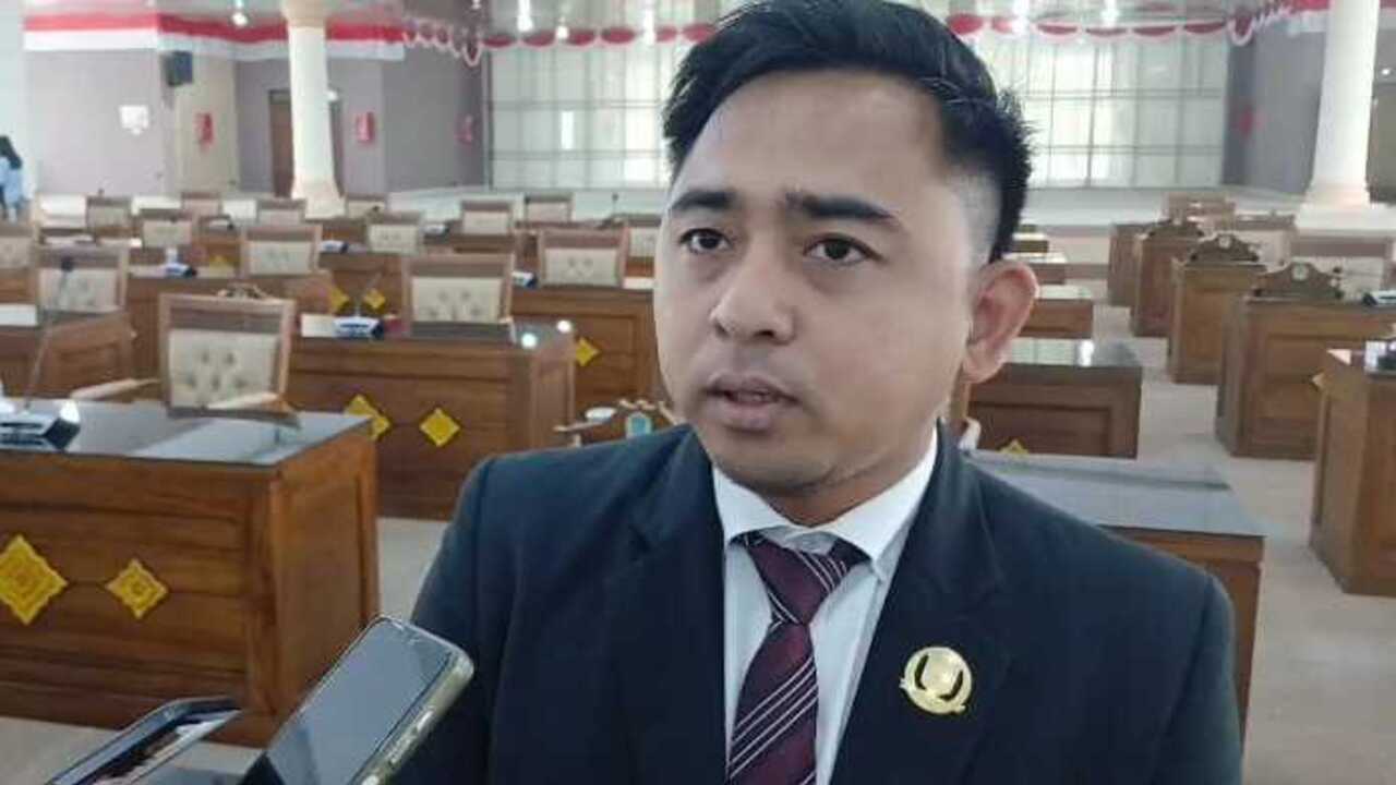 Rawan Kecelakaan, Anggota DPRD Ini Minta Pemkab OI Lakukan Tebas Bayang Jalan