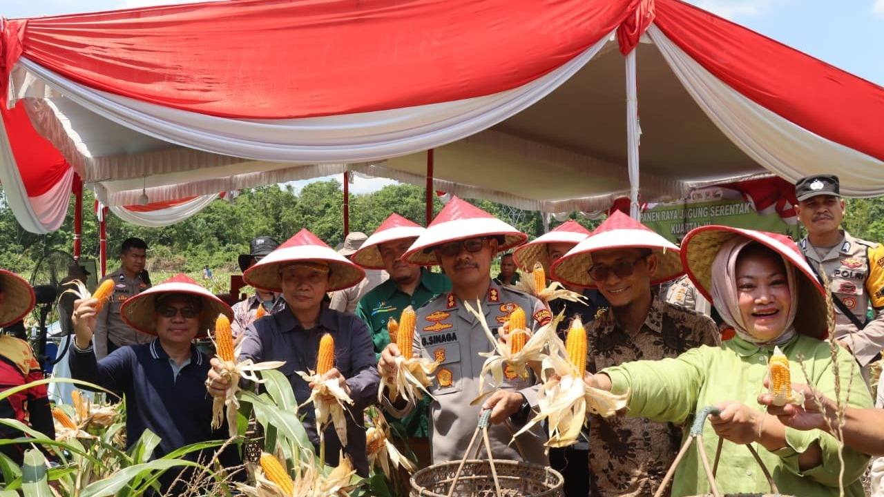 Polres Muba Panen Jagung 35 Ton di Kecamatan Lalan