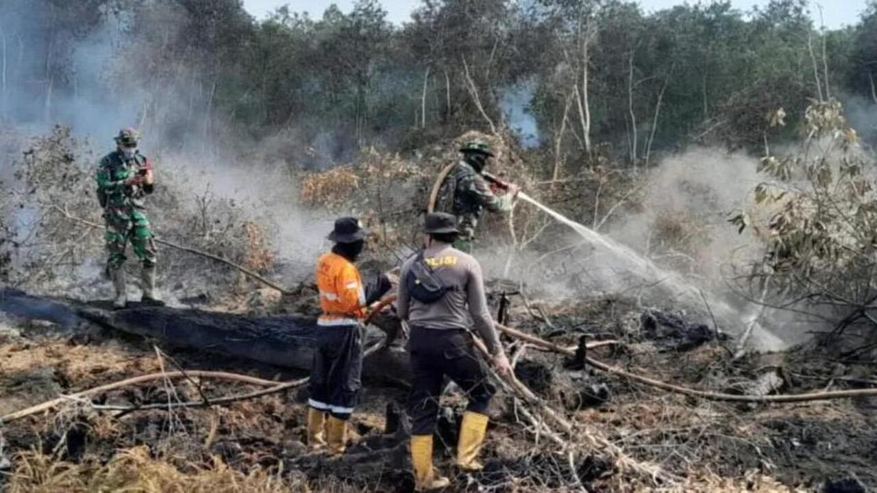 Tiga Kecamatan Masuk Zona Waspada Karhutla