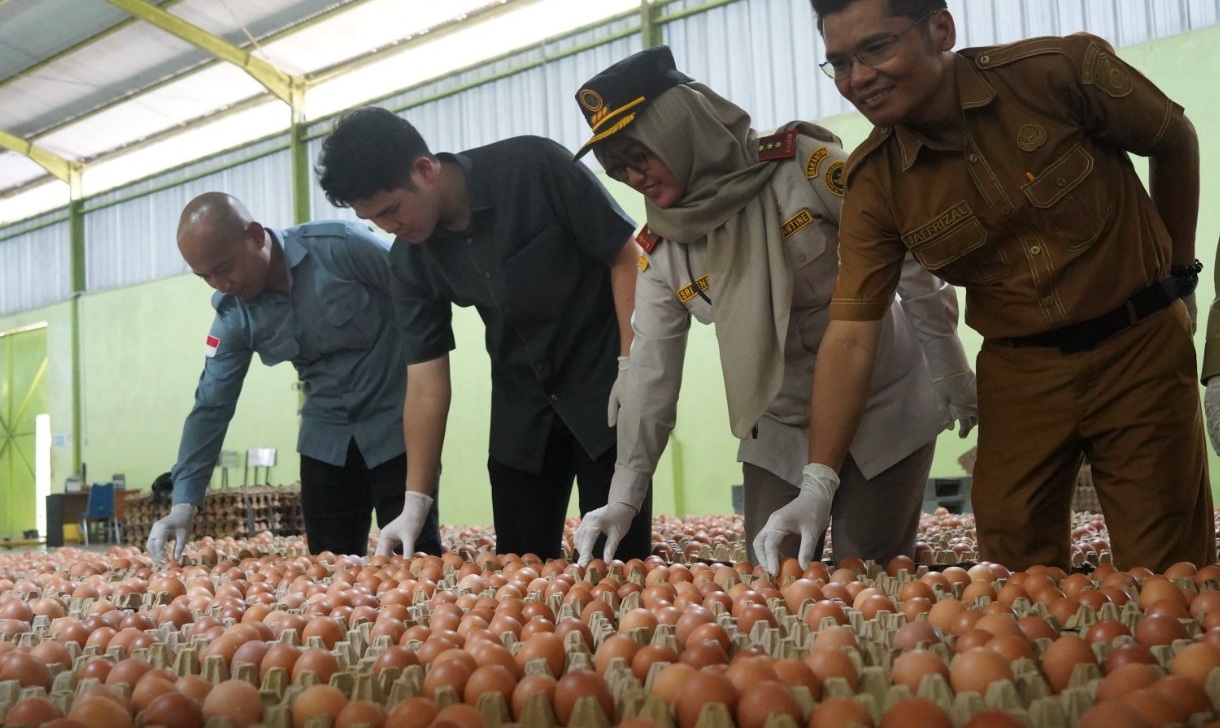 Balai Karantina Sumsel Gandeng DKPP, Dampingi Peternak Telur Ayam Konsumsi Tembus Pasar Ekspor