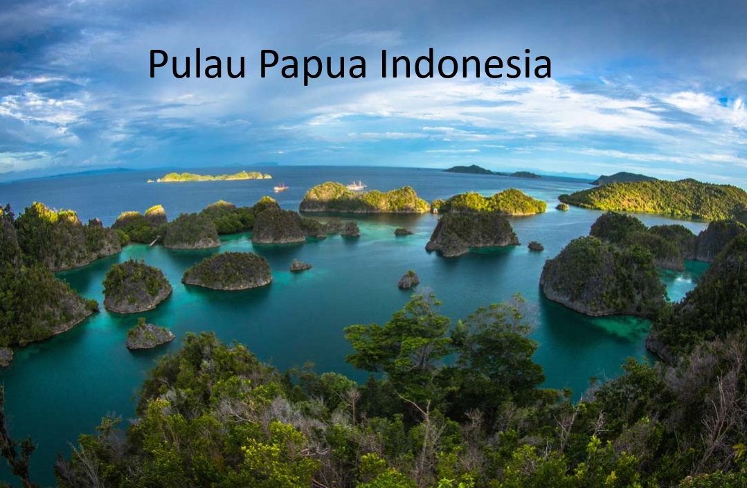 Rencana Pemekaran Papua: Pilih Papua Utara atau Papua Timur sebagai Daerah Otonomi Baru (DOB)