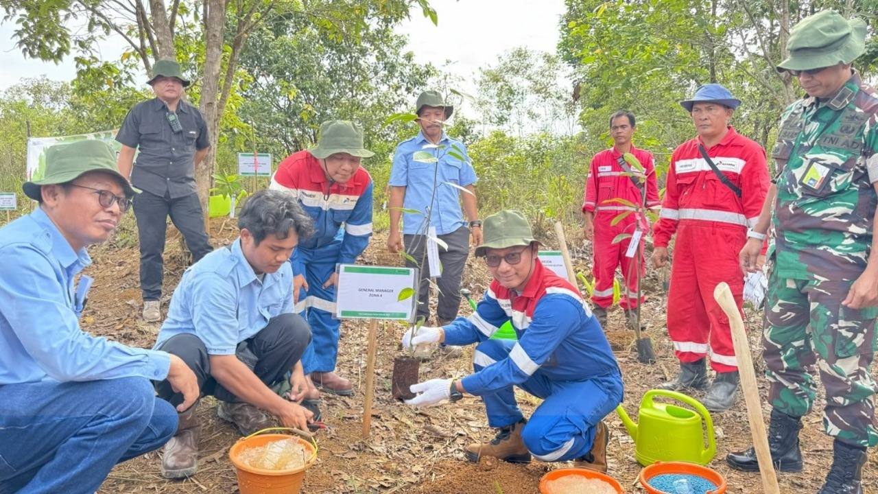 Tangkal Perusakan Habitat Gajah, Pertamina EP Lakukan Aksi Hijau di Koridor Jalur Gajah Sumatera