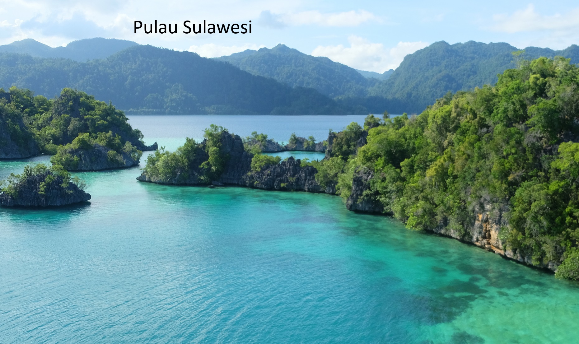 Pemekaran Wilayah di Pulau Sulawesi: Perjuangan dan Rencana Pembentukan 8 Provinsi Baru