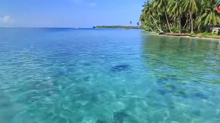 Keajaiban Laut Calon Provinsi Nias: Ekowisata Menjelajahi Harta Bawah Laut yang Mengagumkan