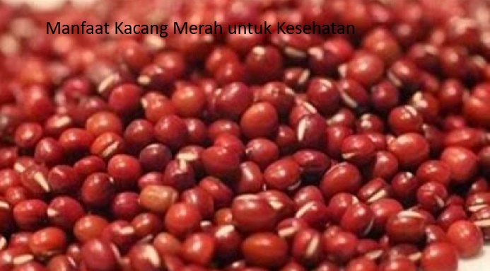 Konsumsi Kacang Merah Dapat Meningkatkan Memori Otak