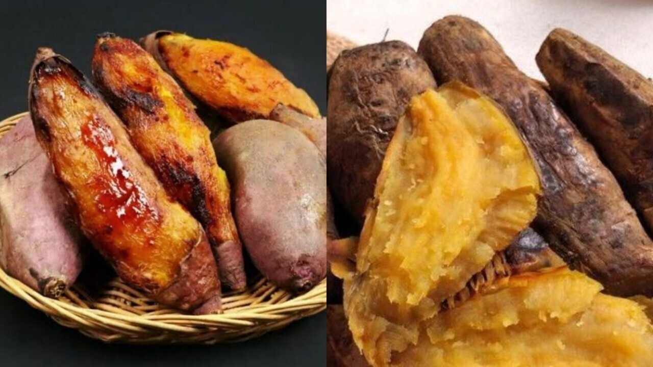 Ubi Cilembu, Si Manis dari Sumedang yang Terus Menjaga Pamor di Pasar Nasional