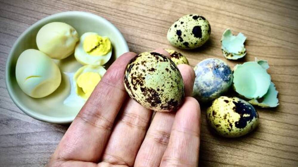 Sensasi Kuliner Mini: Telur Puyuh dan Kreativitas Rasa yang Menggoda