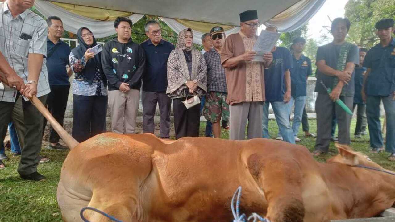 Proses Pemotongan Kurban, Berlangsung Haru dan Bahagia