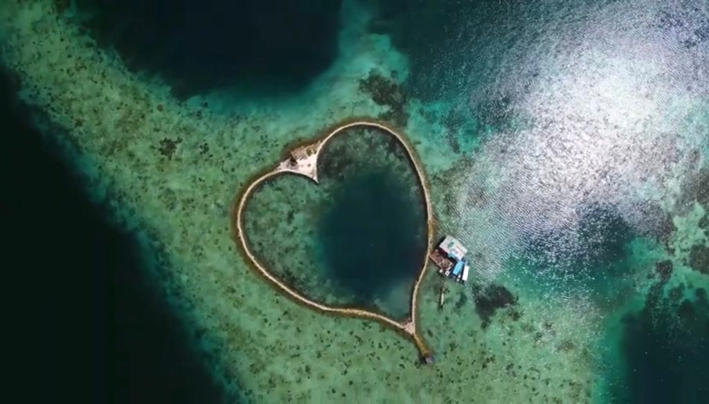 Pesona Romantis di Bawah Permukaan: Menyelami Keindahan Objek Wisata Keramba Cinta Sawai di Pulau Seram Maluku