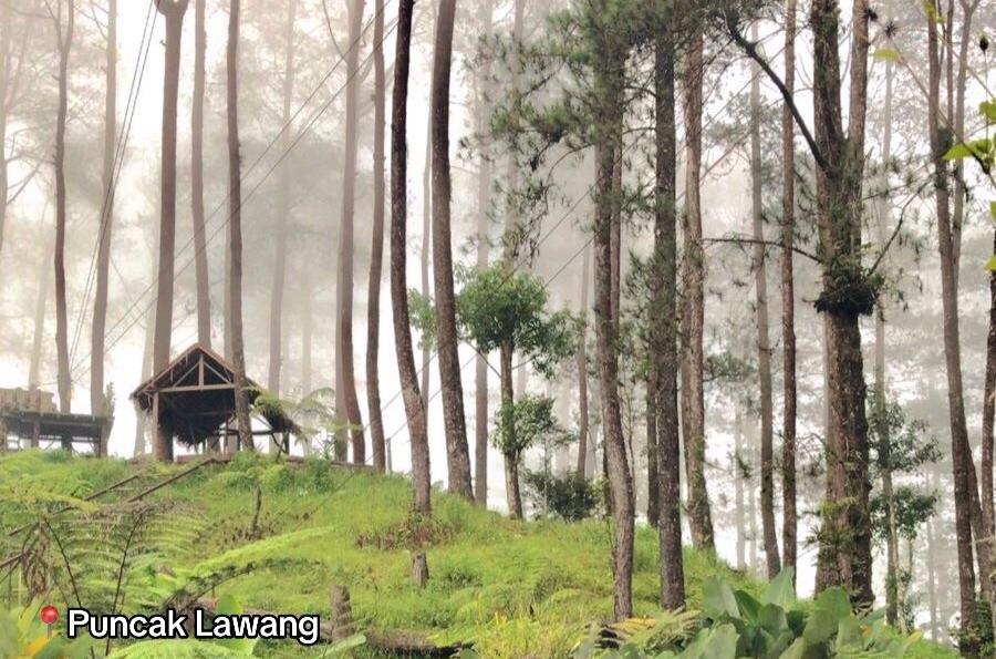Puncak Lawang, Destinasi Wisata Unggulan di Kabupaten Agam, Sumatera Barat