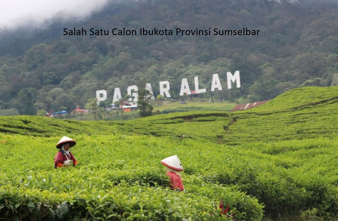 Pemekaran Provinsi Sumatera Selatan: Antara Rencana Sumselbar dan Palapa Selatan