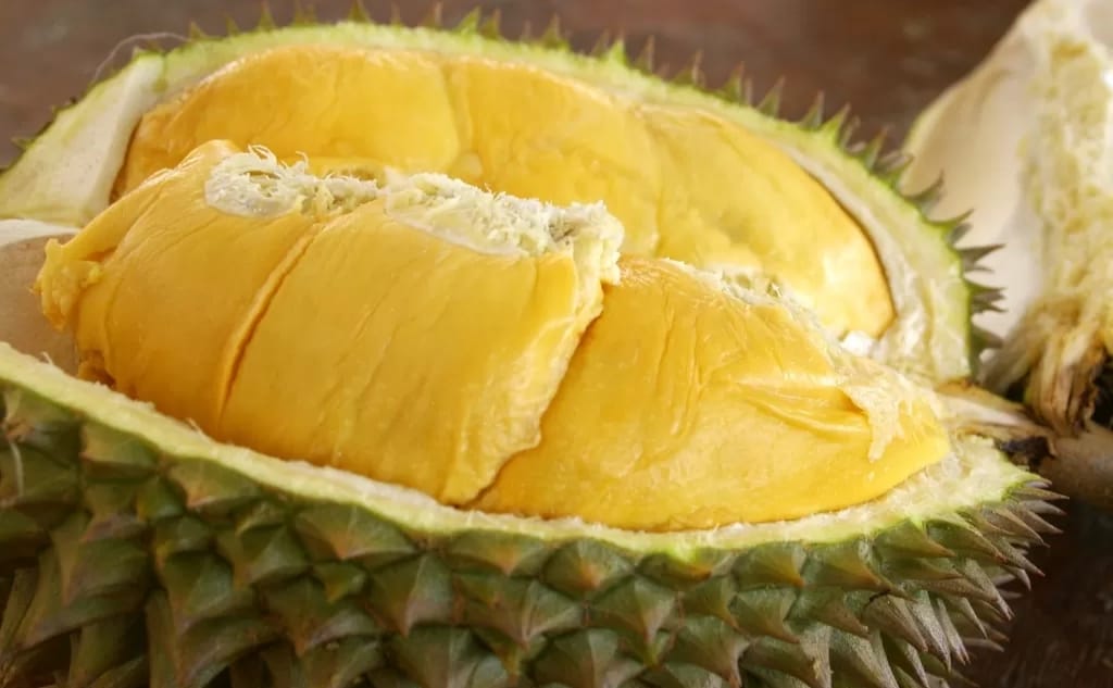 Bukan Hanya Wangi Saja Cara Memilih durian, Ini lho ! Cara Memilih durian yang Enak