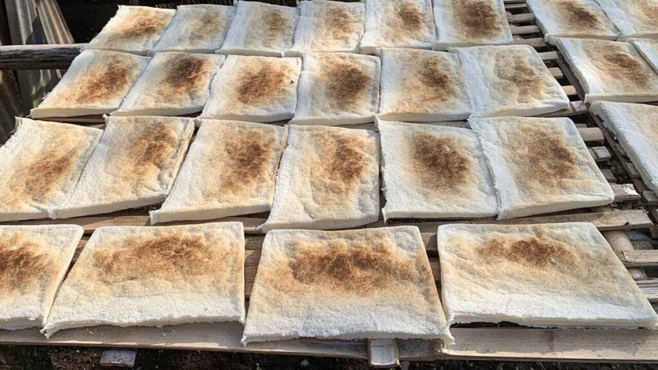 Sagu Lempeng : Warisan Kuliner Nusantara yang Kembali Dilirik di Tengah Tren Makanan Sehat